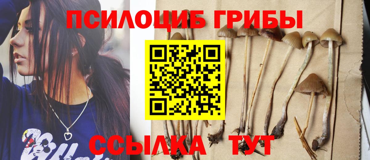 Кирово-Чепецк  Галлюциногенные грибы Cubensis  Галлюциногенные грибы мицелий  Вход с VPN 