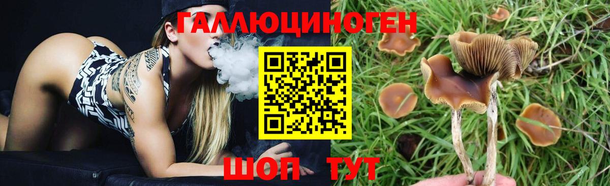 Псилоцибиновые грибы ЛСД Кирово-Чепецк